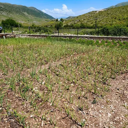 Dr Bizhga Agroturizem 招待所 Golem (Gjirokaster)