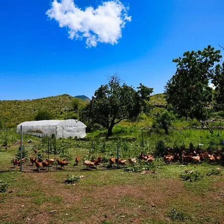 Dr Bizhga Agroturizem Golem (Gjirokaster)