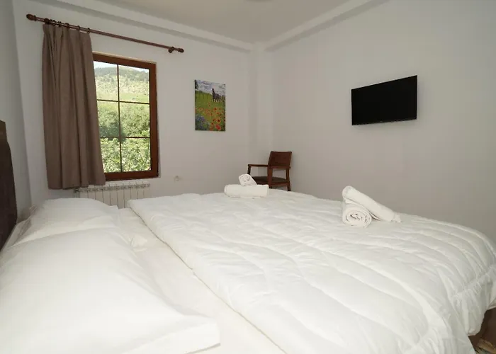 Dr Bizhga Agroturizem Golem (Gjirokaster)