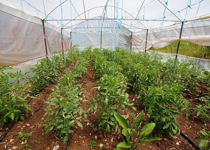 Dr Bizhga Agroturizem