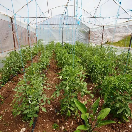 Dr Bizhga Agroturizem