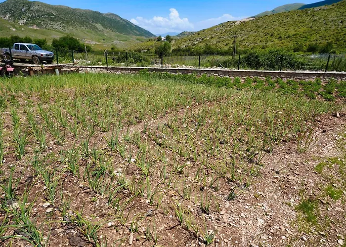 Dr Bizhga Agroturizem Pensjonat Golem (Gjirokaster)
