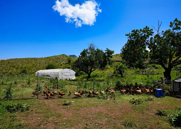 Dr Bizhga Agroturizem Golem (Gjirokaster)